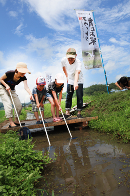 160703kounotori1.jpg