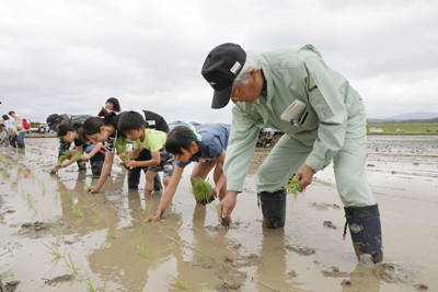 180519taue1.jpg