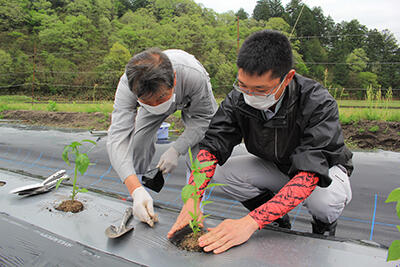 JAたじま　ピーマン新規栽培者向け講習会　0427.jpg