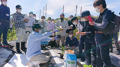 JAたじま　ピーマン新規栽培者講習会　0427.jpg