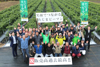 251118JAたじま 但東町野菜生産組合ピーマン販売高過去最高記録突破.png