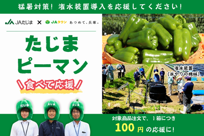 たじまピーマン_900px.png
