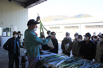 201113JAたじま　岩津ねぎ出荷目合わせ会.jpg