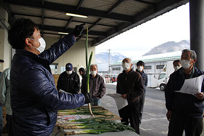 220126JAたじま　岩津ねぎ雪害による緩和出荷規格検討会.jpg