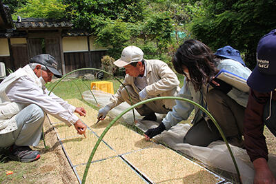 220517JAたじま　チェーンポット育苗圃場巡回.jpg