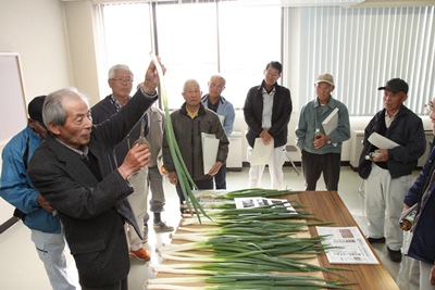 161117kekkitaikai.jpg