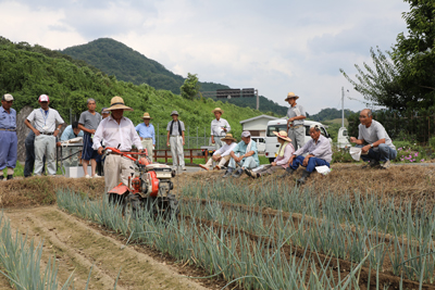 180830iwatunegi1.jpg