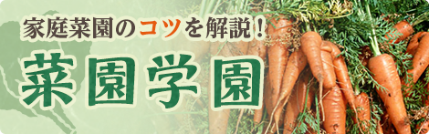 菜園学園