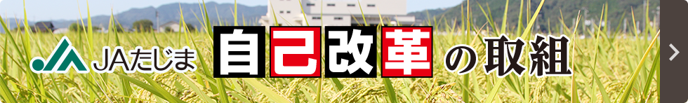 自己改革の取組