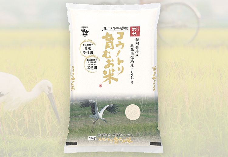 コシヒカリ　通販　令和4年産　当日精米　白米　こうのとり米（3kg）コウノトリ米　玄米（精米無）農薬不使用　有機肥料