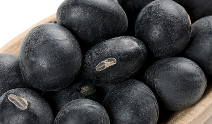 丹波黒大豆 黒大豆の王様 Jaたじまの特産品 丹波黒大豆 黒大豆の王様 Jaたじまの特産品
