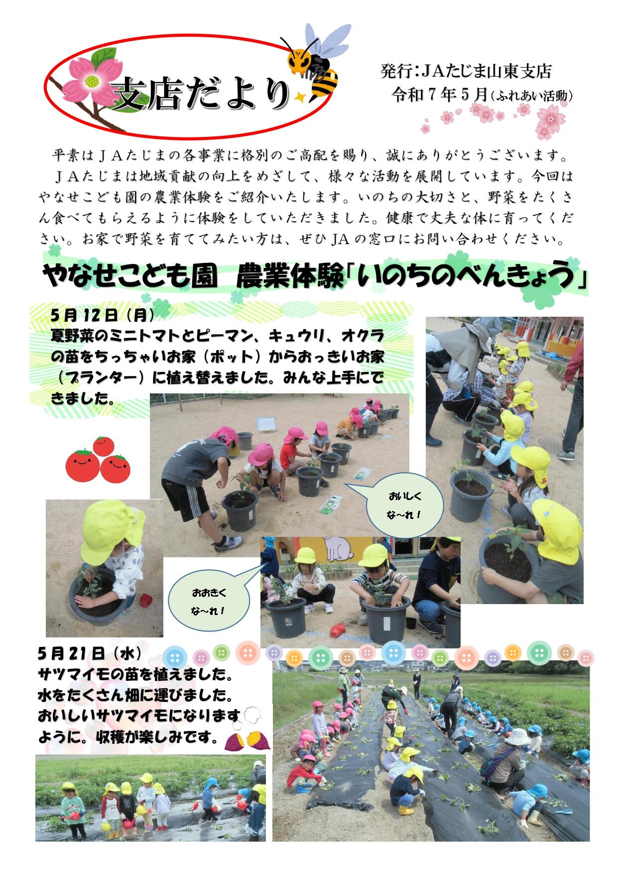 (やなせこども園)7月支店だより.jpg