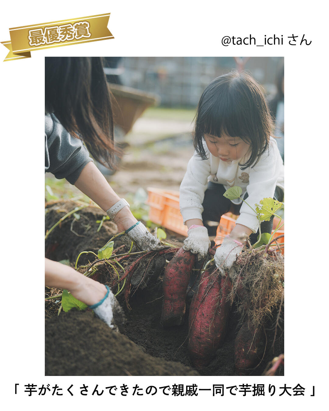 キッズ部門_最優秀賞_芋がたくさんできたので親戚一同で芋掘り大会.jpg