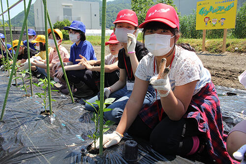 野菜の植え付け.jpg