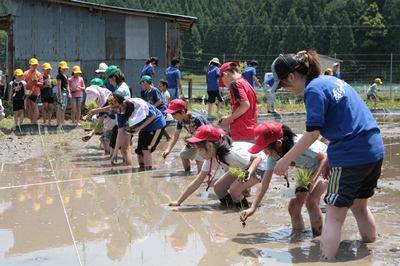 130526AGR-taue1.jpg