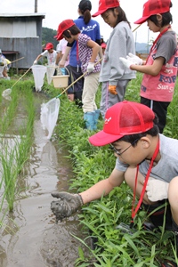 130623agri-hokaku1.jpg