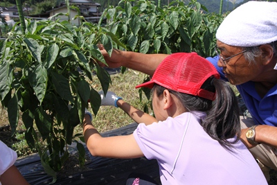 130721agri2.jpg