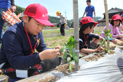 140518aguri4.jpg