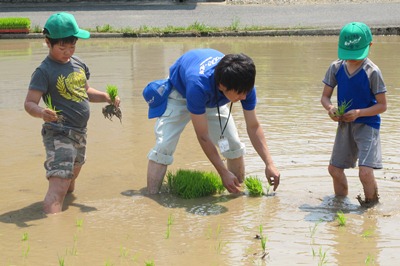 140525agri-taue2.jpg