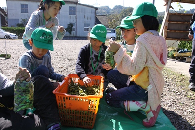 141019agri6.JPG