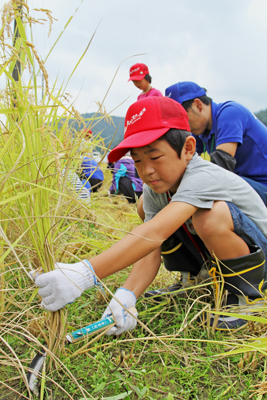 160917aguri2.jpg