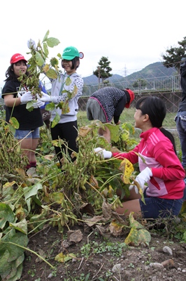 161023agri1.jpg