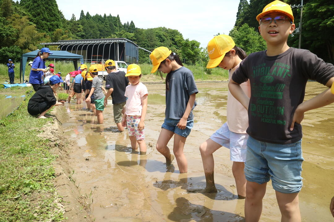 田植え (2).jpg