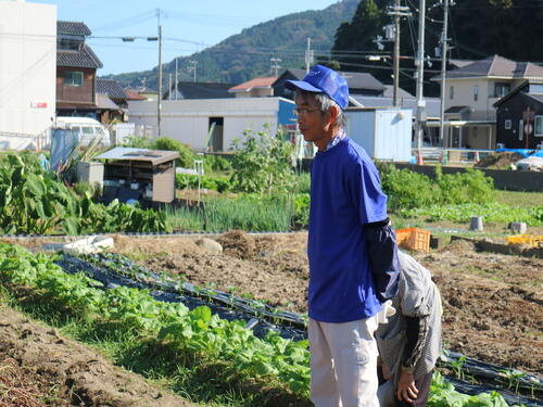 サツマイモ (2).jpg