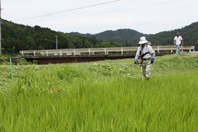 130719kouryuuden2.jpg