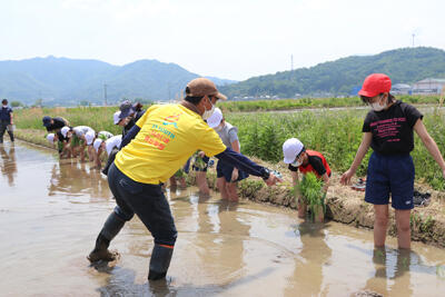 220525JAたじま　小坂小学校田植え体験.jpg