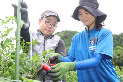 230920JAたじま　JAグループ職員が但馬地域で援農ボランティア.jpg