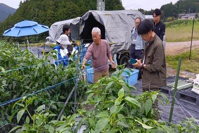 HPJAたじま 地域農業の関係人口創出へ、就農促進支援事業を展開する企業とタッグ、兵庫・JAたじま1003.jpg