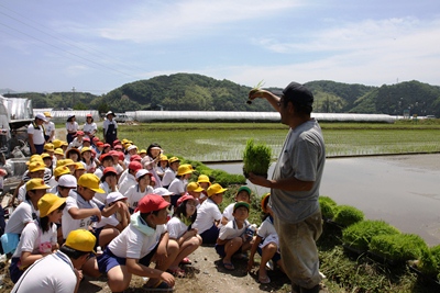 130531nakasuji1.jpg