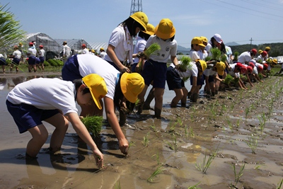 130531nakasuji2.jpg