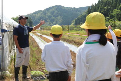 250613JAたじま　伝統野菜「八代オクラ」児童らが定植、兵庫・JAたじま.jpg