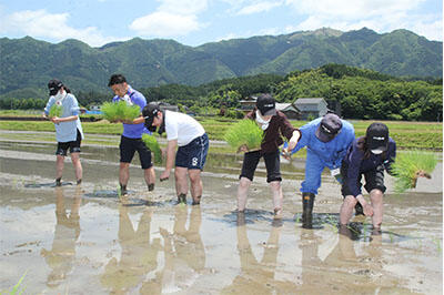 田植え.jpg