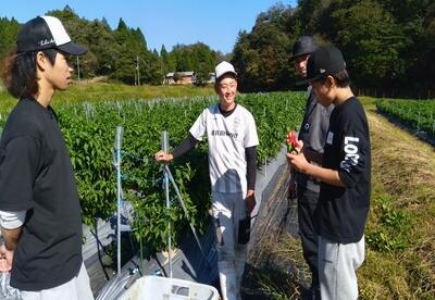 HPJAたじま　世代を越えた交流で地域に活力を、大学生が援農やイベントのボランティア、兵庫・JJエリアセンター但馬1017.jpg
