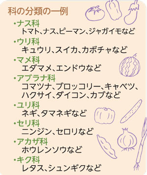 栽培の計画を立てよう 菜園学園 Jaたじま