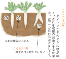 肥料の使い方 菜園学園 Jaたじま