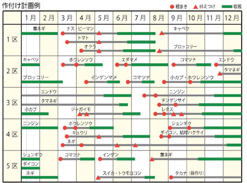 栽培の計画を立てよう 菜園学園 Jaたじま