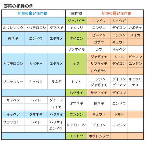 栽培の計画を立てよう 菜園学園 Jaたじま