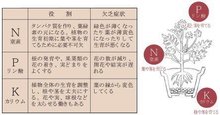 肥料の使い方 菜園学園 Jaたじま