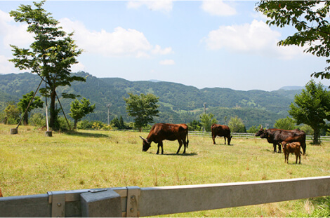 但馬牧場公園・資料館