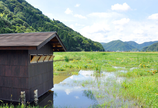 戸島湿地