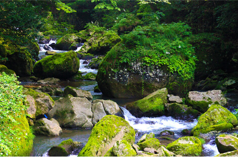 神鍋溶岩流