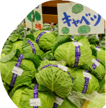 新鮮で安い！