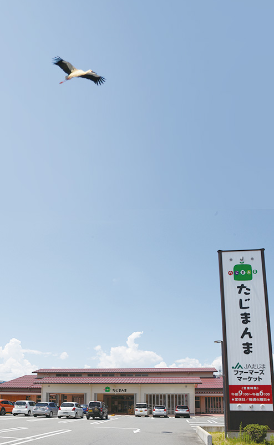 ファーマーズマーケットは素敵な店になります。
