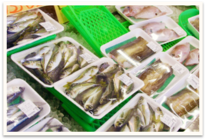魚