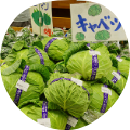 新鮮で安い！