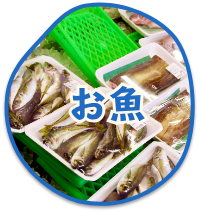 お魚